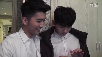 国产gay片,情感与现实的交织